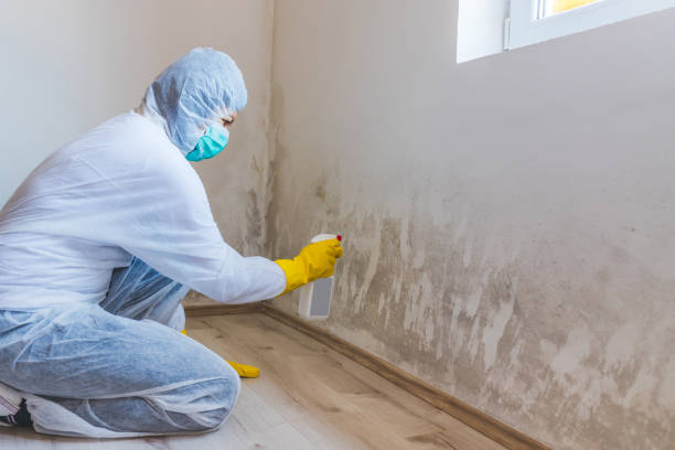 Licensed Commercial Mold Remediation service in Dover, MA - WQB Mold Removal