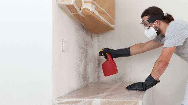 Professional Commercial Mold Remediation technician working in Dover, MA