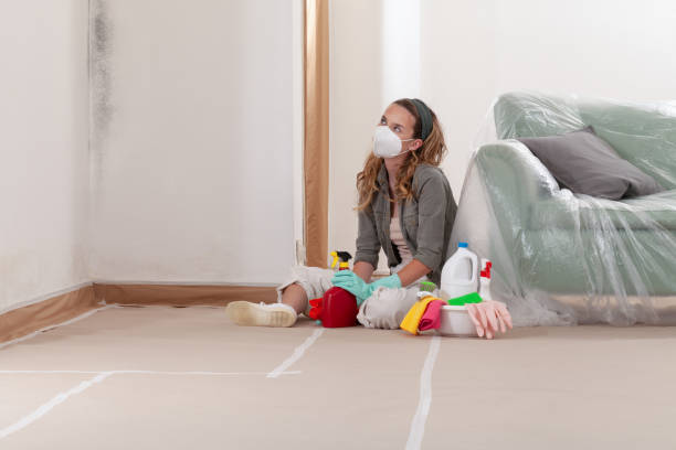 Reliable Commercial Mold Remediation contractor in Dover, MA by WQB Mold Removal
